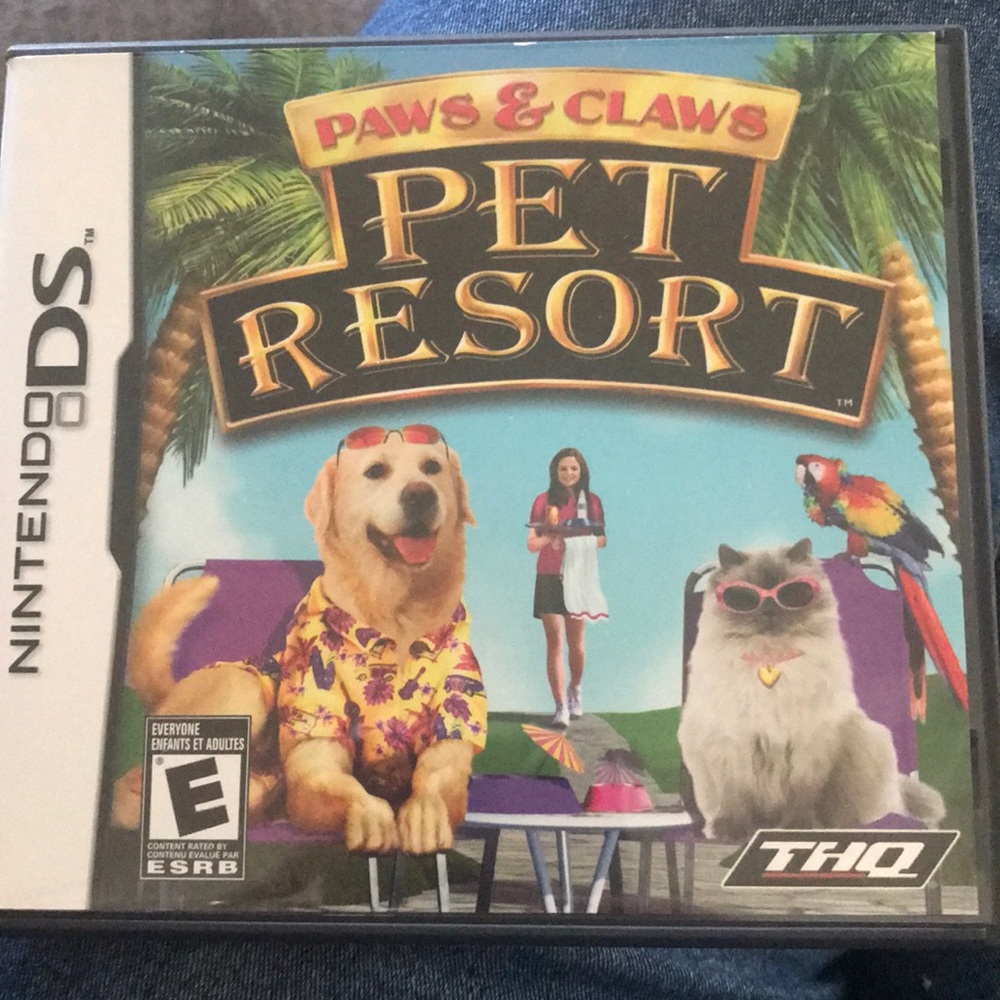 Nintendo DS game